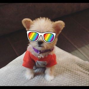 Meet your Posher, Nora